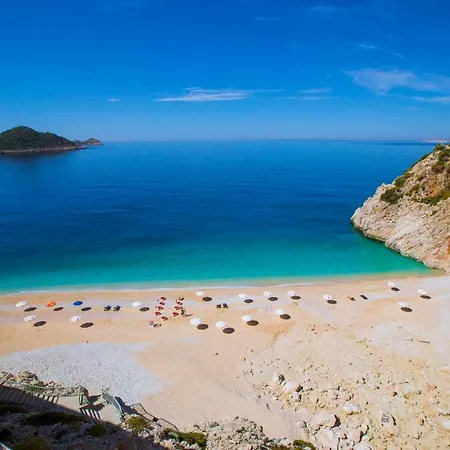 Апартаменты Paradise 5 *