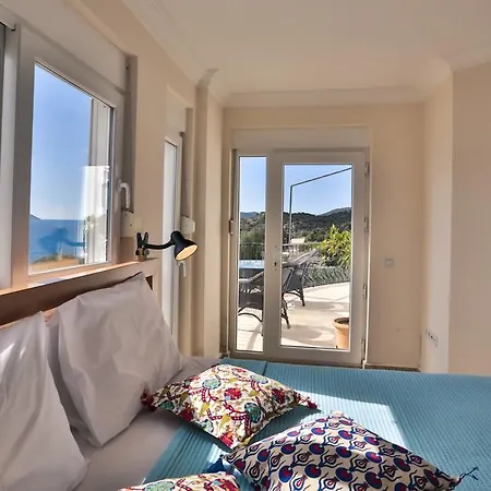 Paradise 5